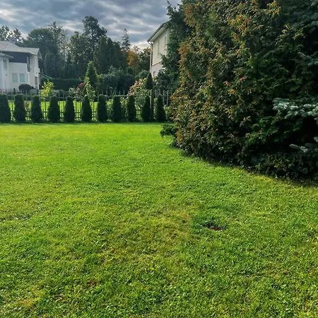 Friendly House In Apartament *
